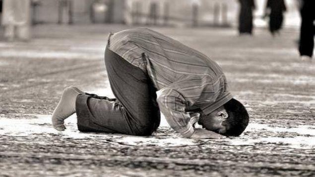 insallah-inseallah-yoxsa-insallah-her-kesin-istifade-etdiyi-soz-bele-yazilirmissok-1702145202